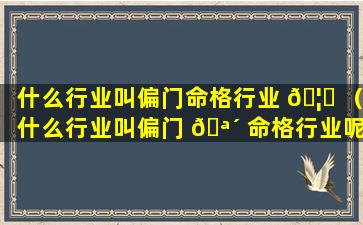 什么行业叫偏门命格行业 🦉 （什么行业叫偏门 🪴 命格行业呢）